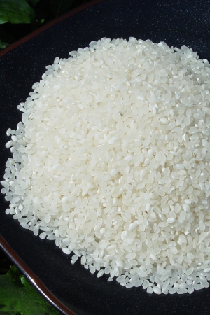 홍천살 오대쌀 10kg 일반포장<br>맛있는 쌀파는곳 가정용 선물용쌀 쌀향 혼합미 오대미